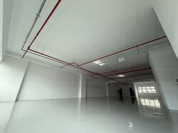Trivex (D13), Factory #454758561